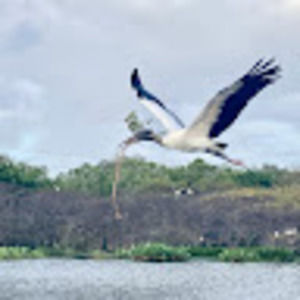 Meet your Posher, Sarah baila